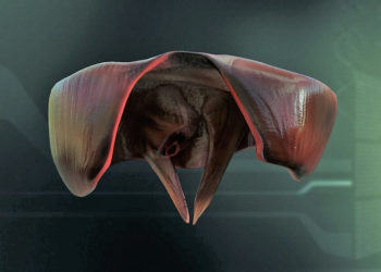 Co wiesz, a czego możesz nie wiedzieć o przeponie