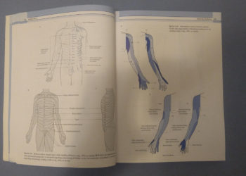 Badanie i ocena narządu ruchu – [RECENZJA]