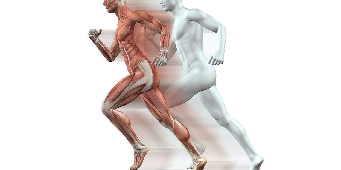 Czym jest powięź i jak o nią dbać